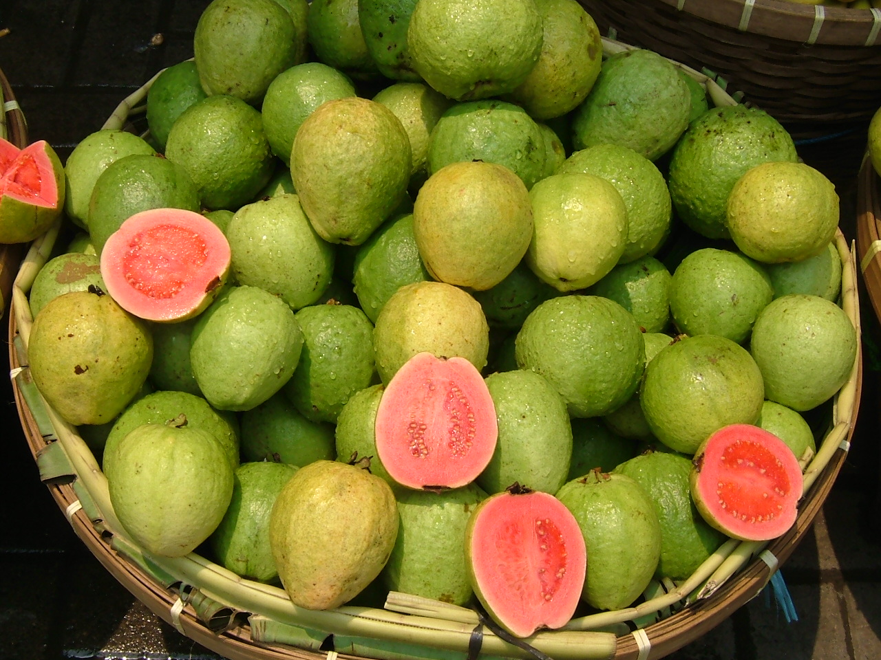 گوآوا گوآوا