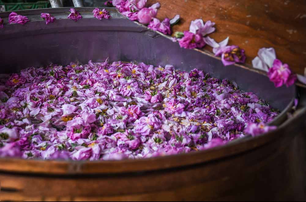 عرقیات شیراز