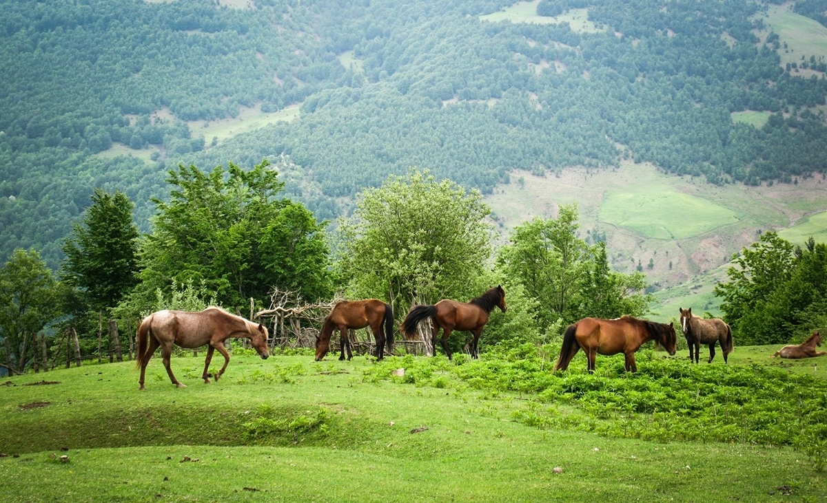 جاده اسالم به خلخال