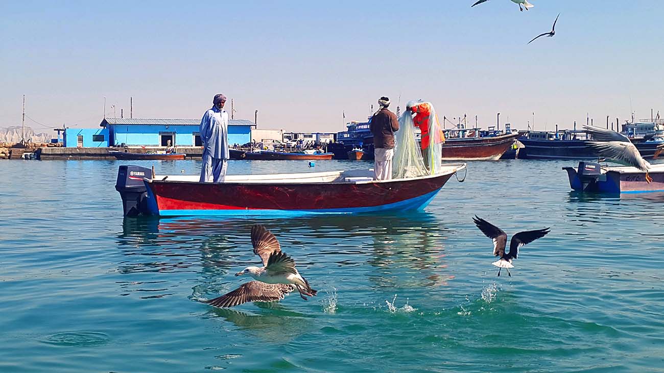 اسکله ماهیگیری چابهار اسکله ماهیگیری چابهار