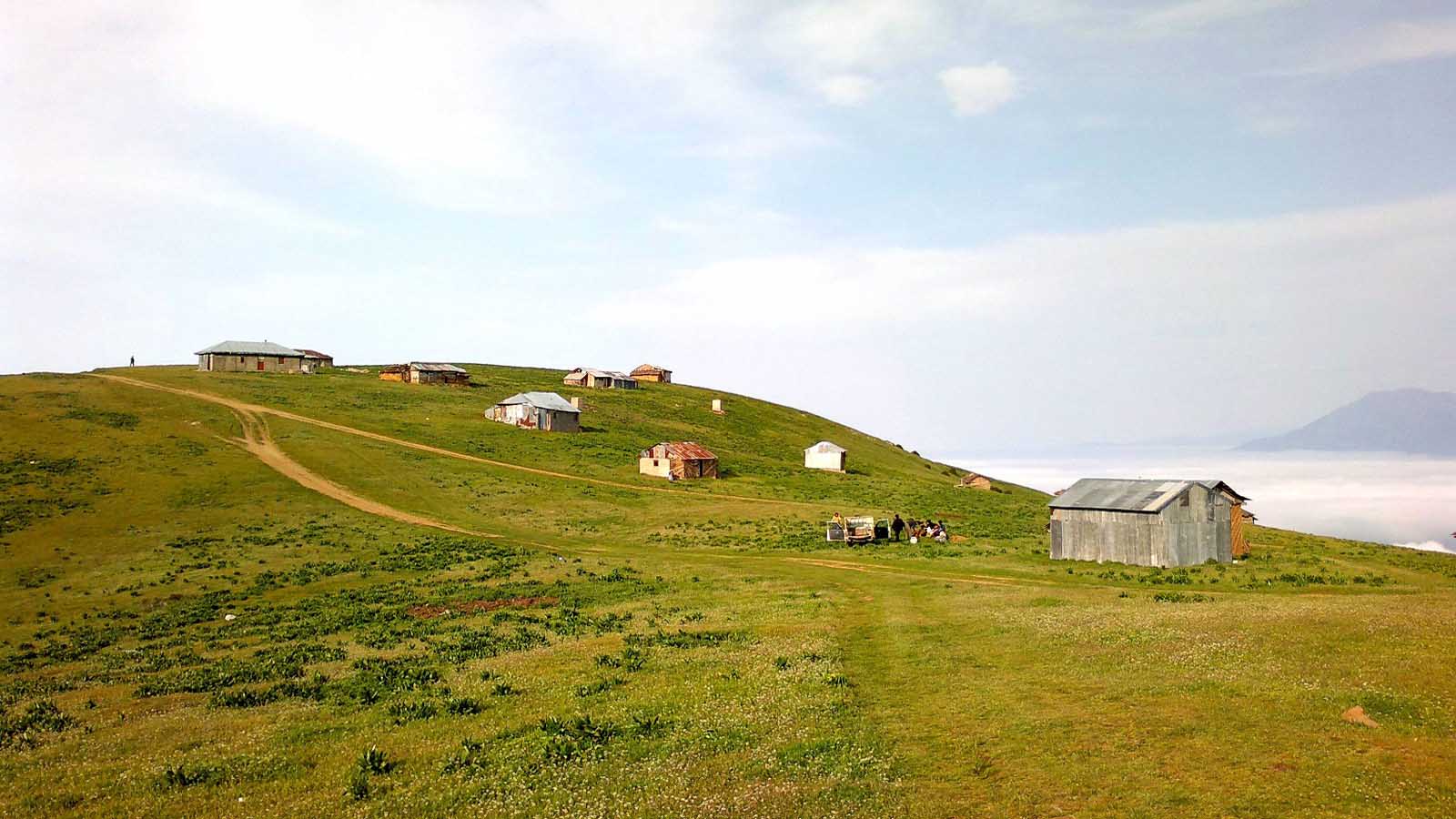 ییلاق سلانسر