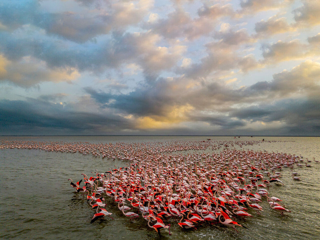 تالاب میانکاله