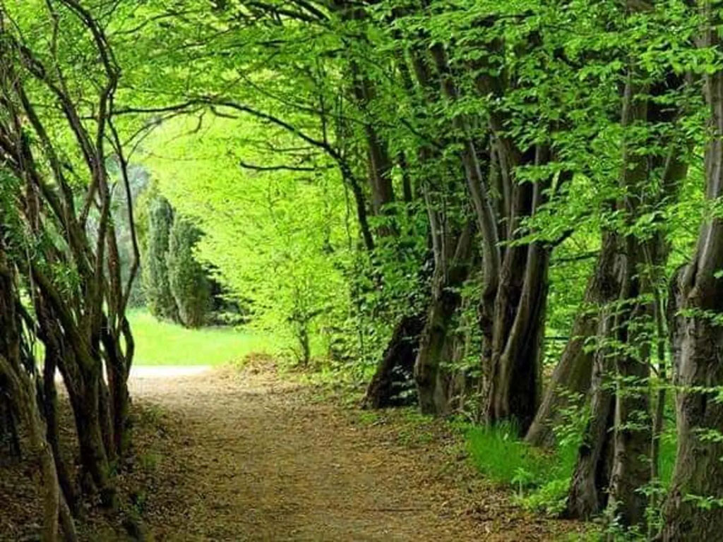 پارک جنگلی سی سنگان