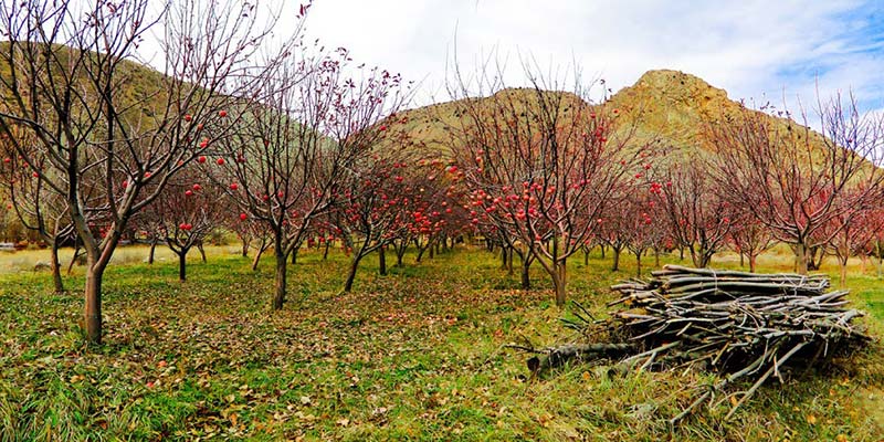 روستای هرانده