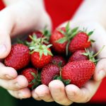 انواع توت انتخاب خوبی هستند برای میان وعده های تابستانی