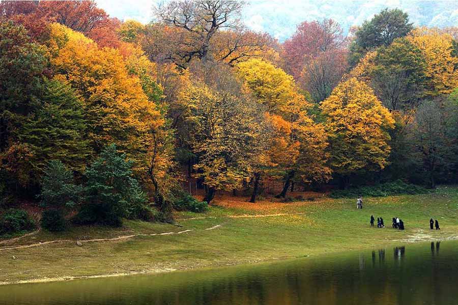 جنگل النگدره