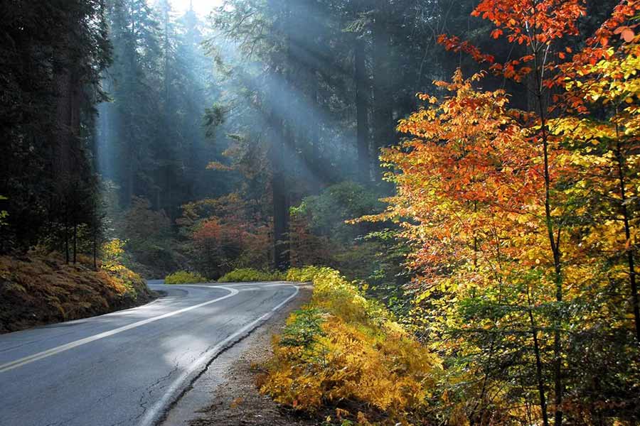 معروف ترین جاهای دیدنی گرگان