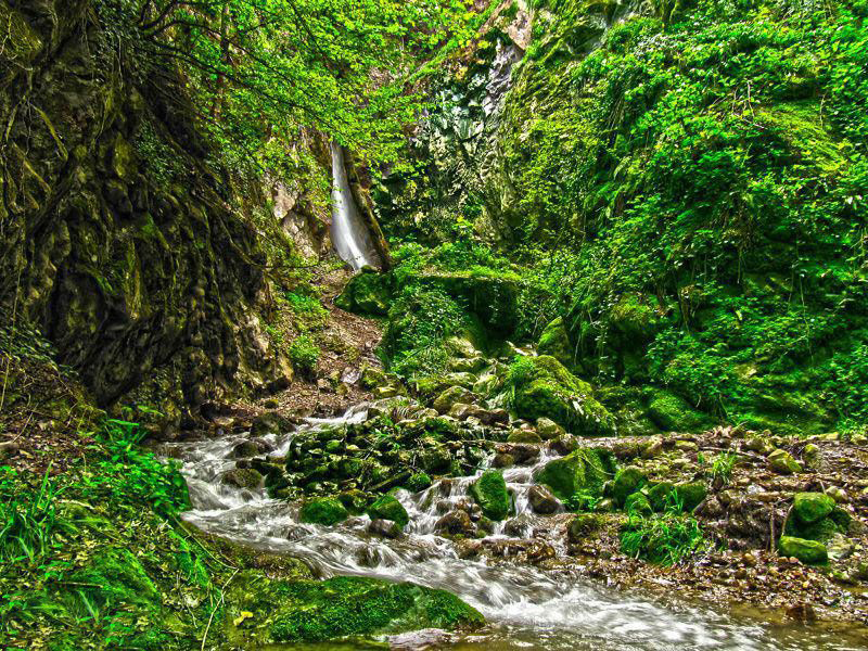 آبشار سرخ کمر