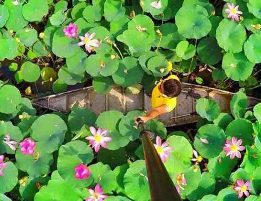 جاهای تفریحی ساری، هیجان در شهری خوش آب‌وهوا