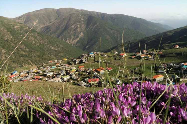 روستای لاویج کجاست