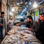 مراکز-خرید-بوشهر