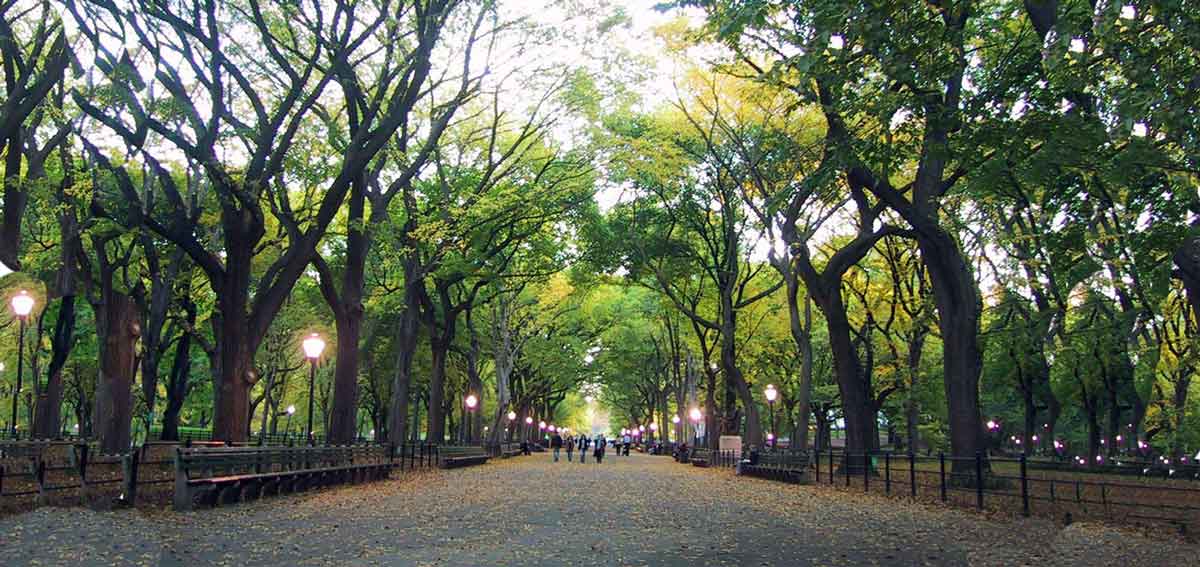 پارک شهر تهران