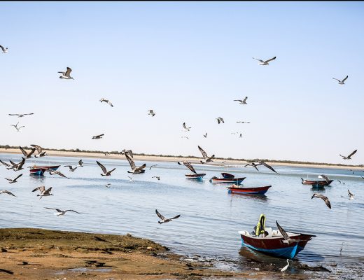 سفر به چابهار