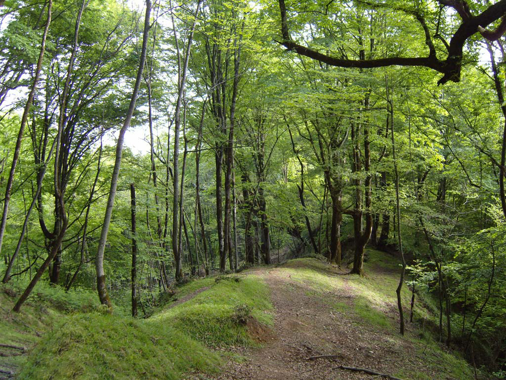 طبیعت کردکوی