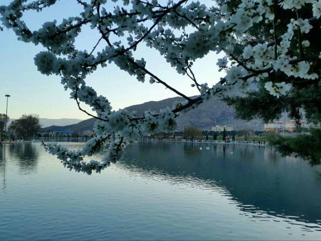 بهار دریاچه کیو