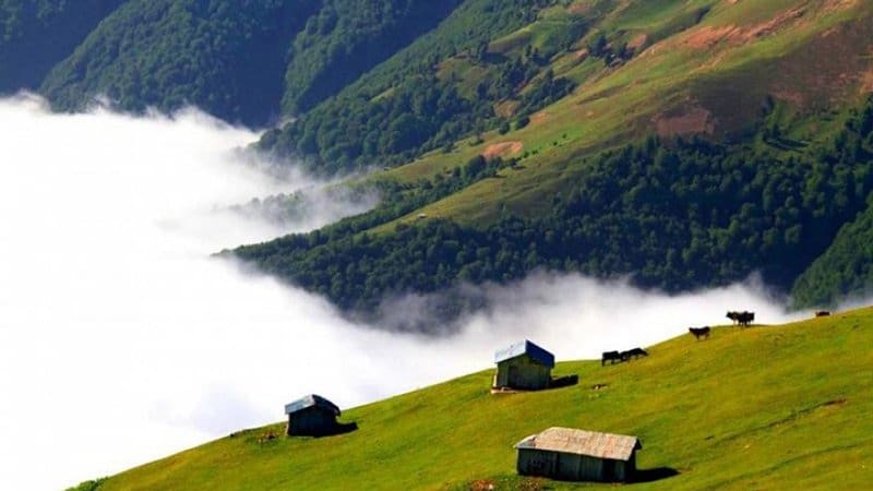 فیلبند کجاست؟