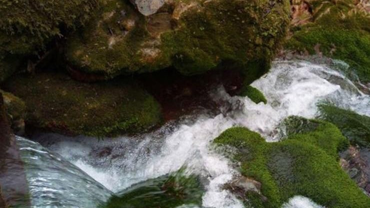 چشمه دمکش؛ آرامش در دل طبیعت