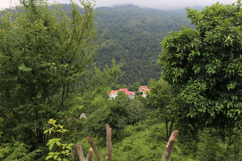 روستاهای اطراف؛ لیمه‌سرا و جنگسرا