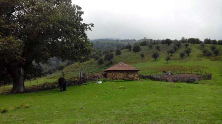 سنگچال مازندران