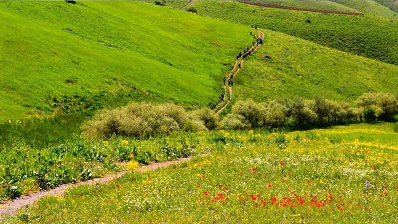 سارال کردستان