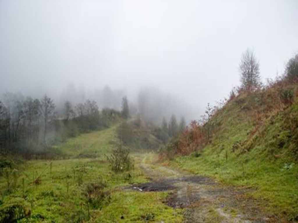 نکات ضروری پیش از سفر سیاهکل