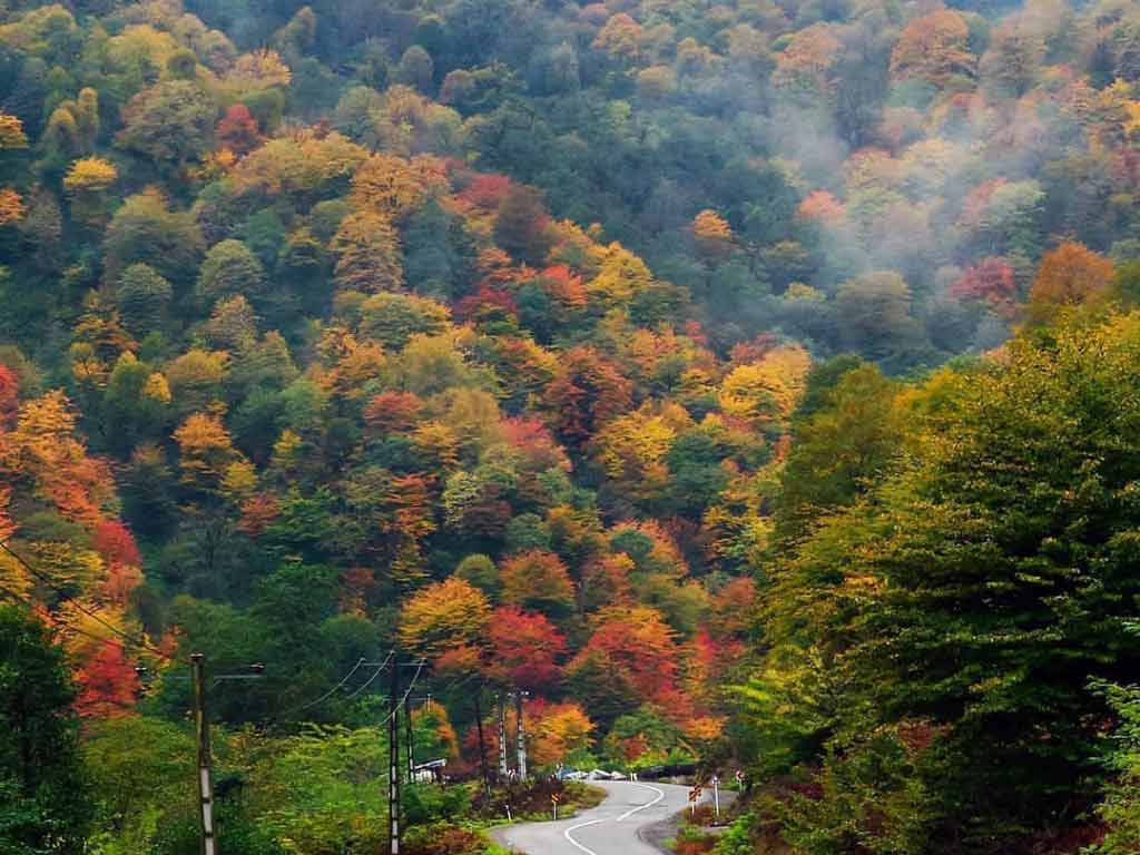 سیاهکل کجاست؟