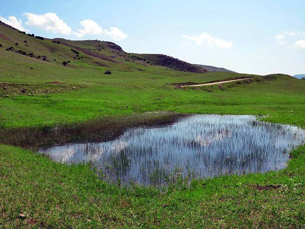  چشمه لاریخانی