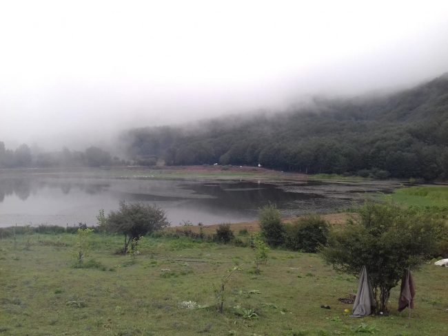 ویستان ویستان