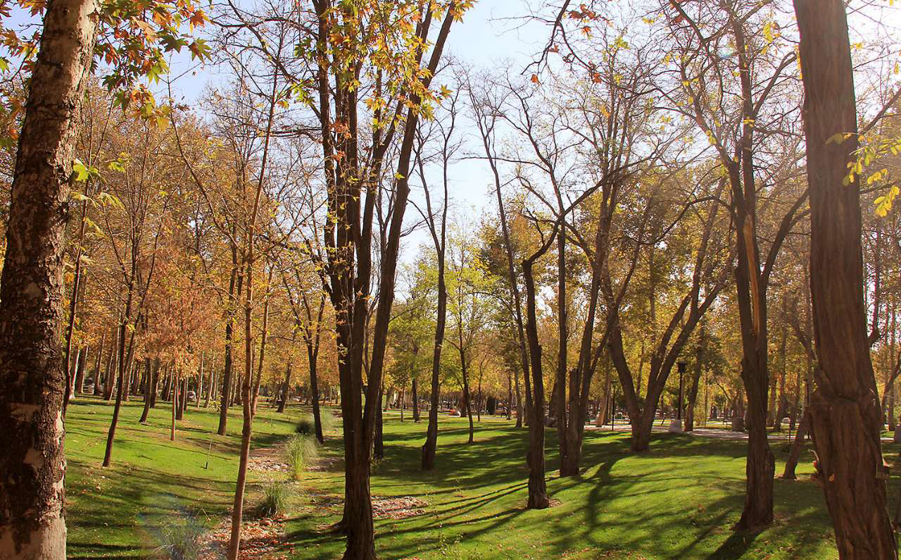 پارک ملت در مشهد