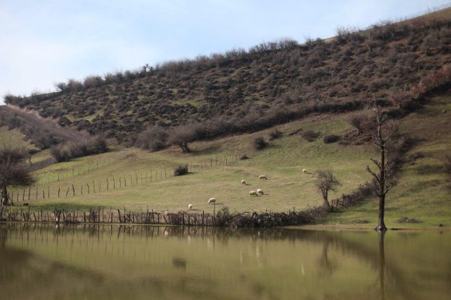 استخر روستای استخرگاه استخر روستای استخرگاه
