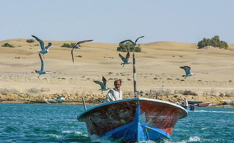 سفر به جنوب