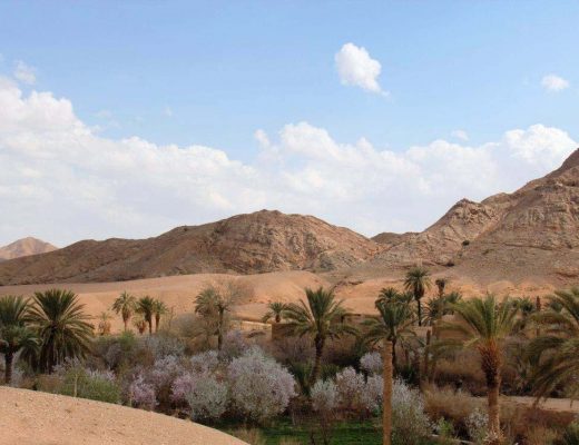 عروسان