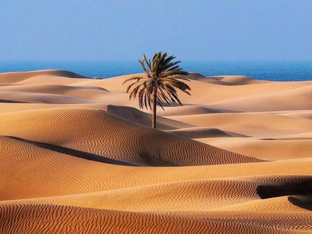 حمل‌ و نقل در چابهار