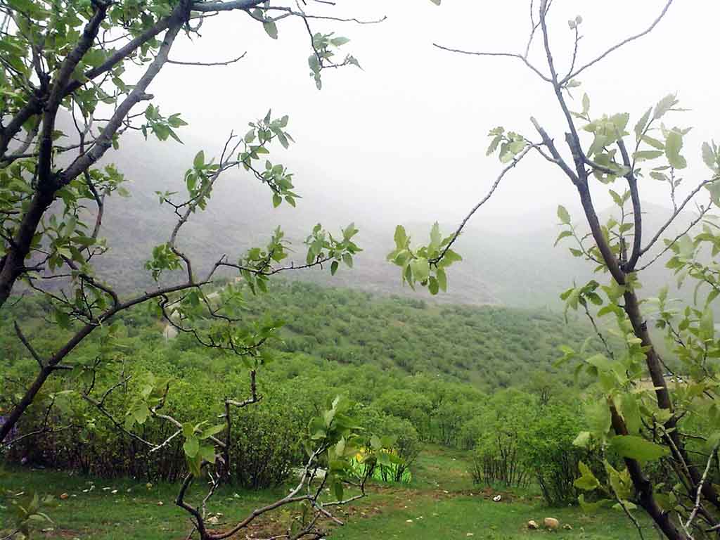 نکات بازدید از مخمل کوه
