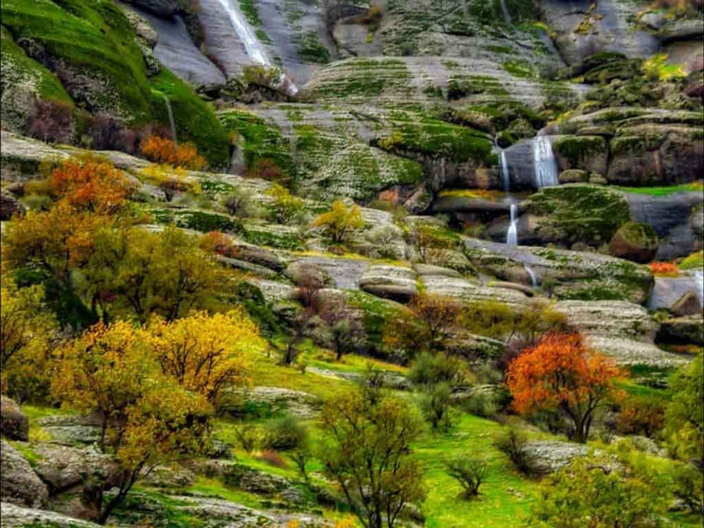پوشش گیاهی مخمل کوه
