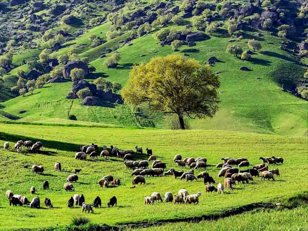 آب و هوای مخمل کوه