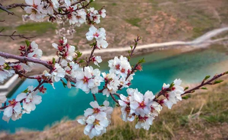جاهای دیدنی ایران در بهار