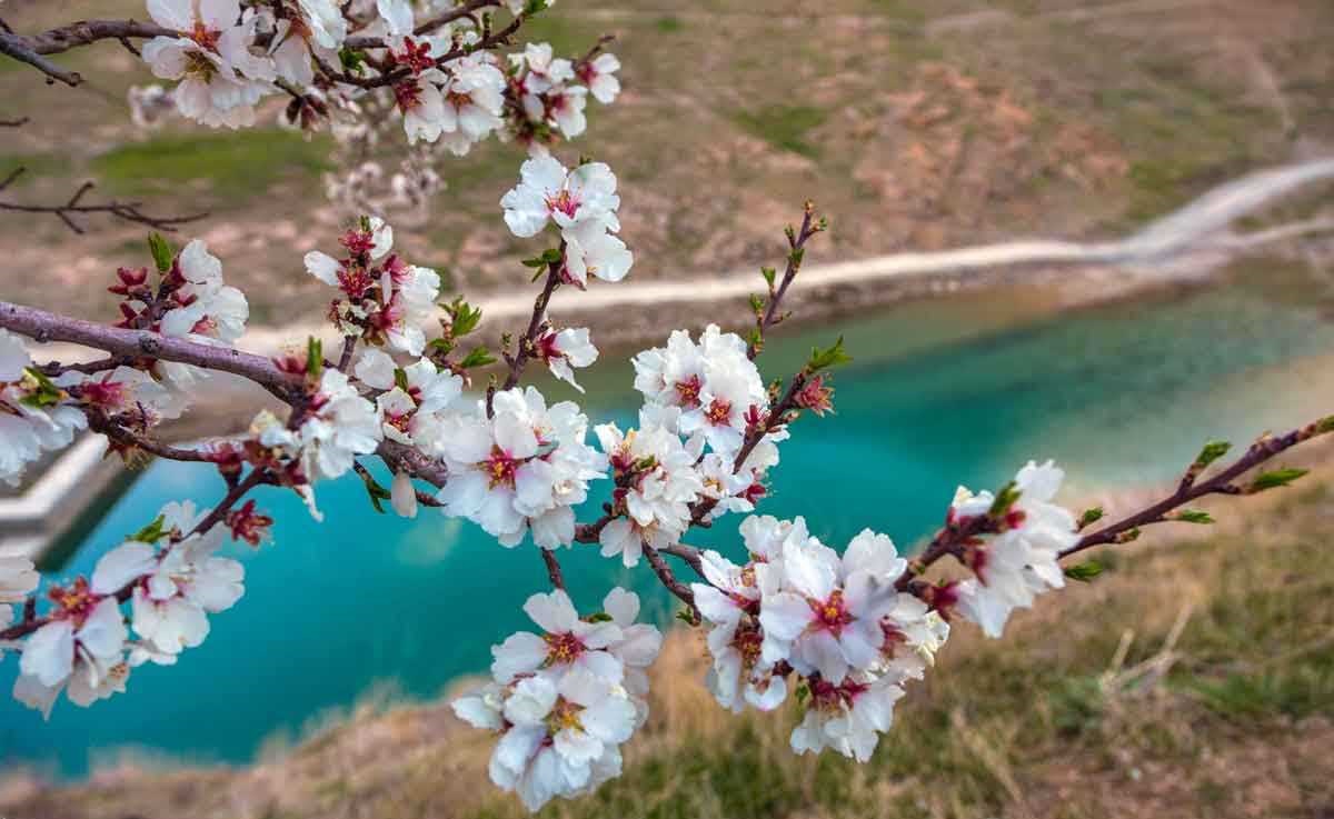 جاهای دیدنی ایران در بهار
