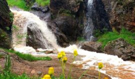 مخمل کوه لرستان