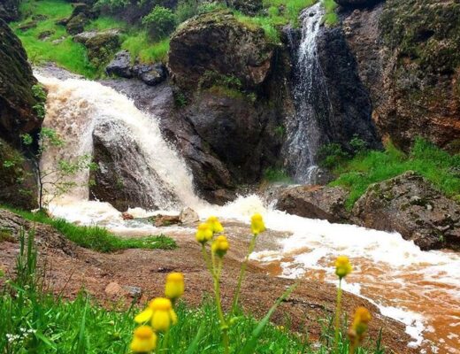 مخمل کوه لرستان
