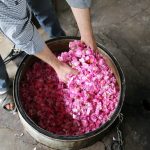 گلابگیری