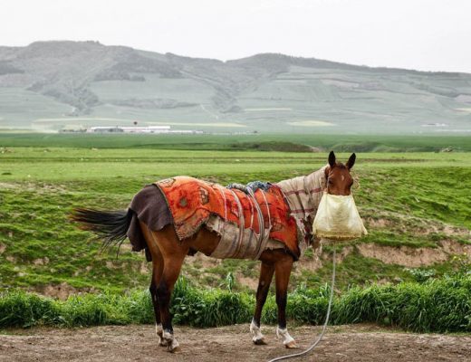 کلاله گلستان
