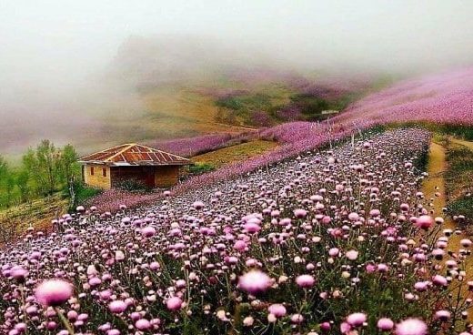 ۱۰ مورد از بهترین شهرهای ایران برای سفر در بهار