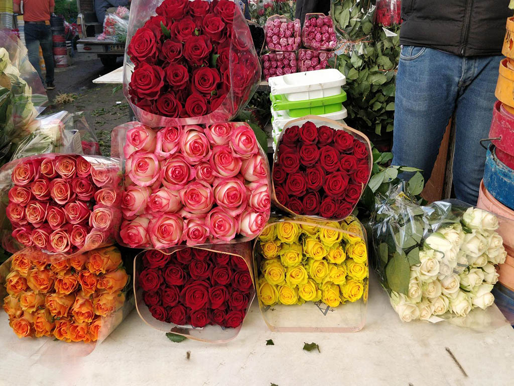 قیمت محصولات در بازار گل محلاتی تهران