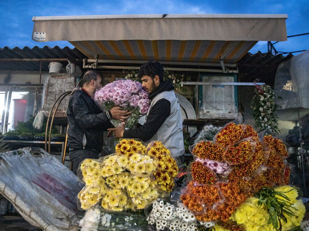 چطور از بازار گل محلاتی تهران اینترنتی خرید کنیم؟