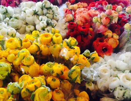بازار گل محلاتی، هلند کوچک تهران!