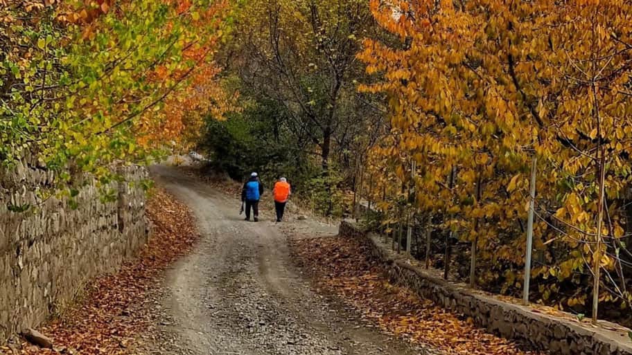 مسیر گام‌به‌گام آهار