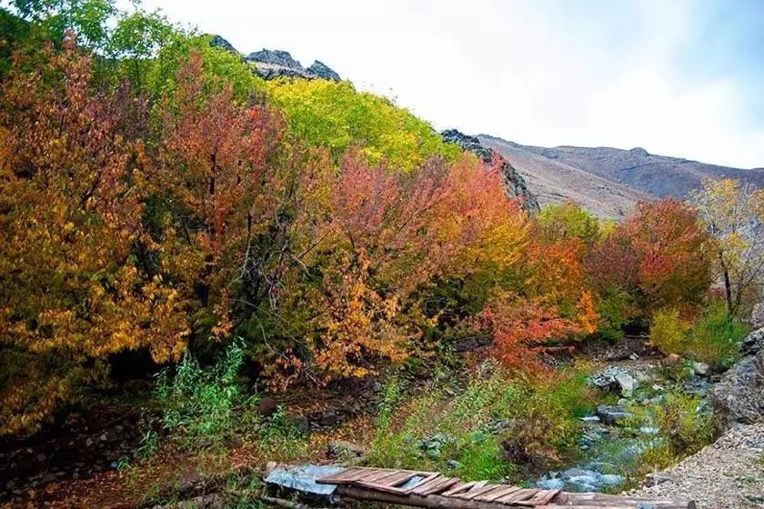 کمی بیشتر در مورد محصولات سنگان