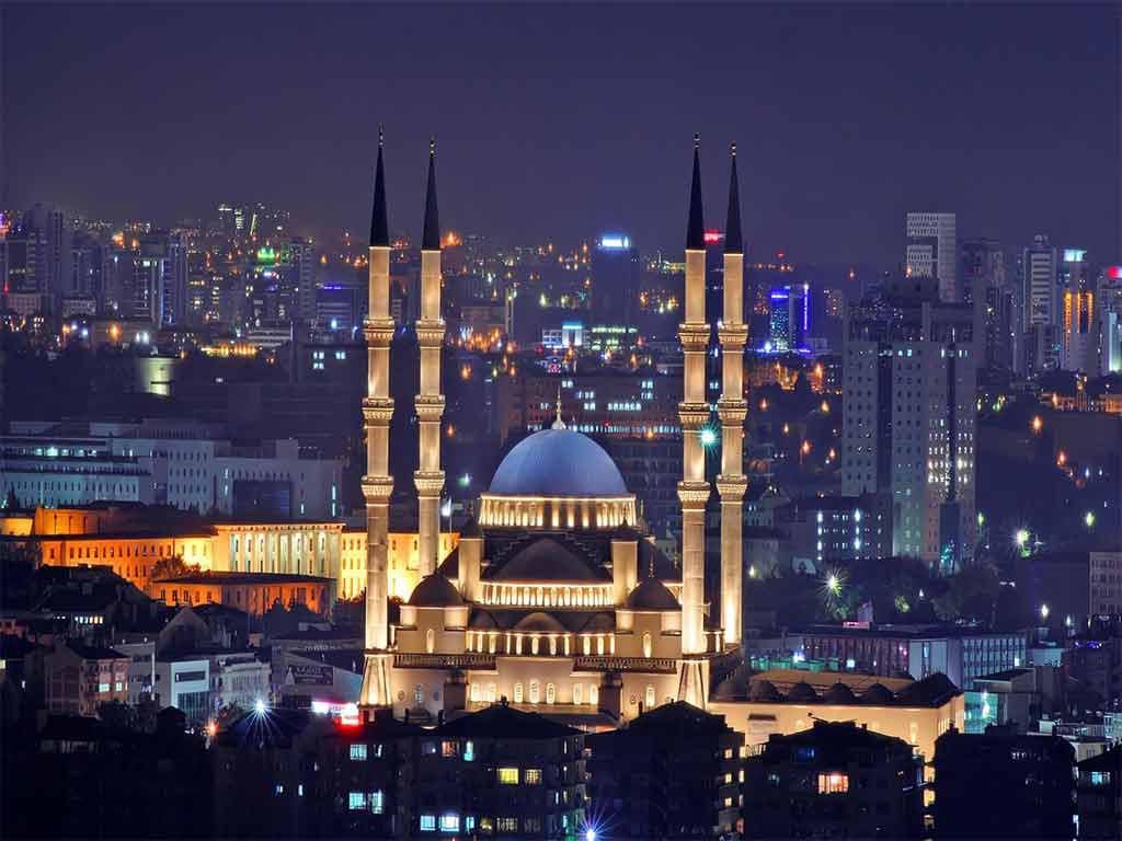 ۳. تابستان: زمان فعالیت‌های شبانه