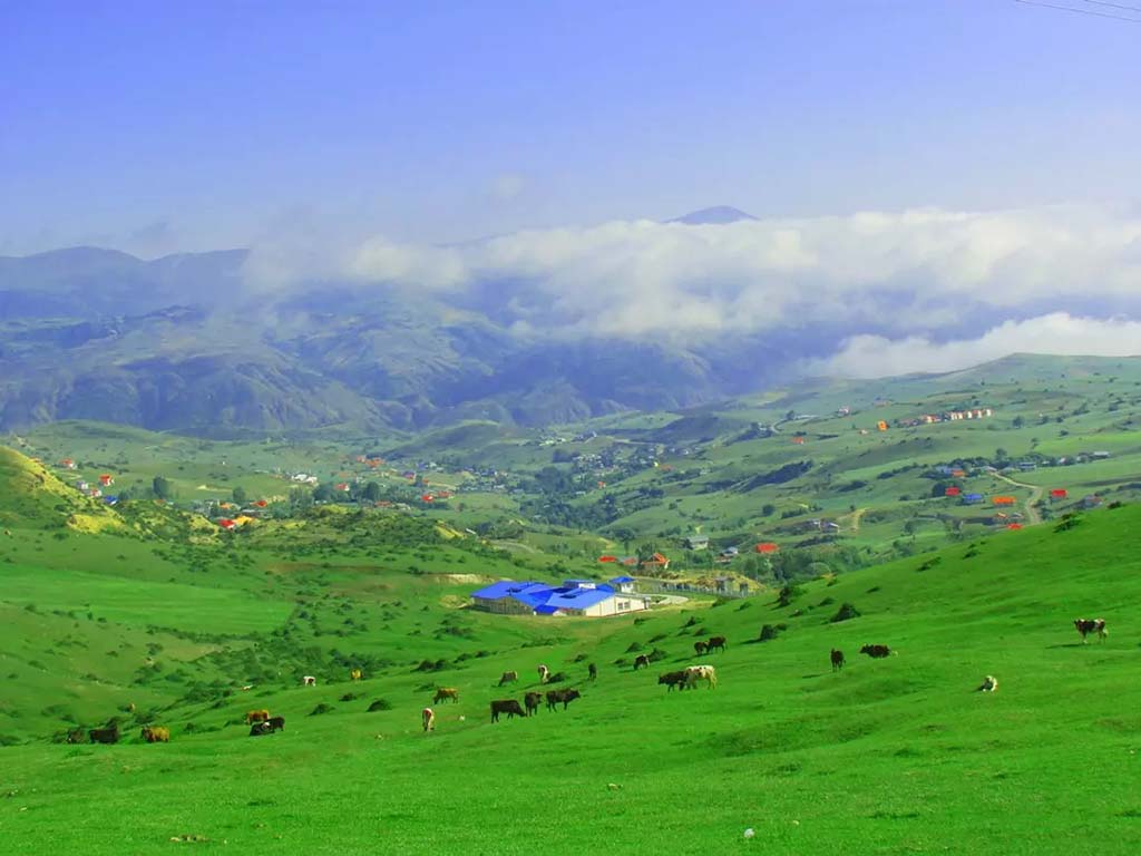 ییلاق دیلمان